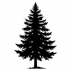Pine tree vector silhouette black design white background