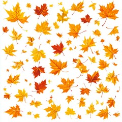Fototapeta premium Autumn leaves in shades of orange and yellow.