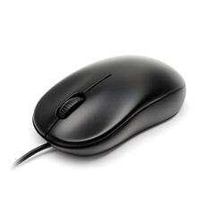 Computer mouse isolated on white background