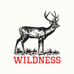 Retro Vintage Deer Wildness Vector Illustration
