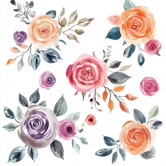 Watercolor Rose Clipart on White Isolated Background, Spaced Out, HD Quality