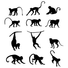 Set of monkey silhouettes on a white background.