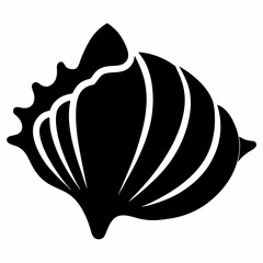 Seashell vector silhouette black design white background