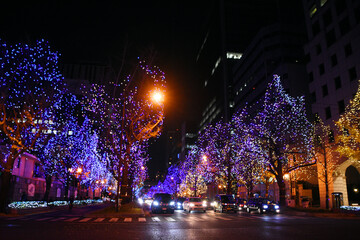 大阪市の夜景・御堂筋イルミネーション