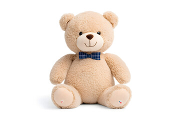 Obraz premium Teddy bear toy, isolated on white background