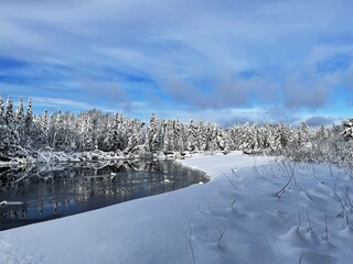 Snowy tree line on bank of open river 
