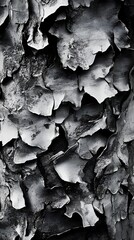 Close-up of tree bark with rough, peeling layers, showcasing intricate patterns and depth.