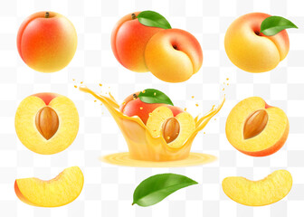 Ripe apricot fruits set. Half, whole and slice of juicy apricot, apricot in a splash of juice, isolated on transparent background. Realistic 3d vector illustration.
