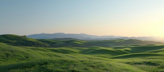 Rolling Green Hills at Sunset