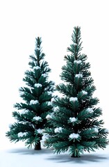 Fototapeta premium Collection of christmas Trees with Snow isolated on transparent or white background