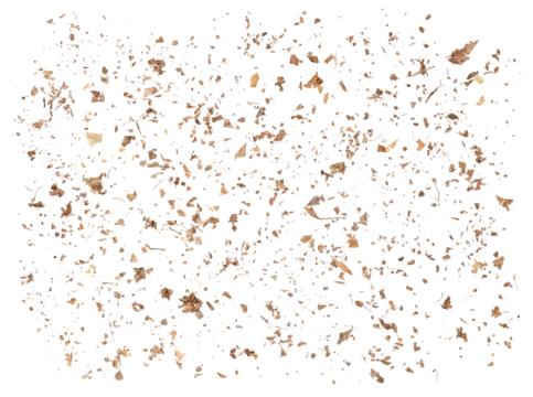 Fein verteilte Ansammlung aus zersetzten Blättern und Pflanzenresten, die die Schönheit und Vergänglichkeit der Naturprozesse in harmonischer Komposition zeigt, auf freigestelltem Untergrund