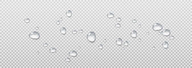 Realistic vector water drops png on a transparent light background. Water condensation on the surface with light reflection and realistic shadow. 3d vector illustration