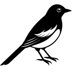 A bulbul bird silhoutte vector. A bulbul bird. Bird silhoutte. Bird.