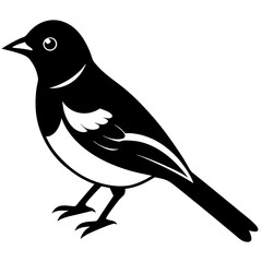 A bulbul bird silhoutte vector. A bulbul bird. Bird silhoutte. Bird.