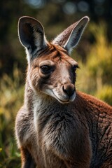 Close-up portrait of a kangaroo with expressive eyes and detailed fur against a natural background