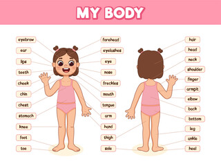 Human body parts for kids. Illustrated diagram of the anatomy of a girl. Cartoon style illustration. Anatomy poster with body parts name.
