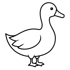 Obraz premium Duck. Duck icon. Vector