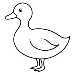 Duck. Duck icon. Vector