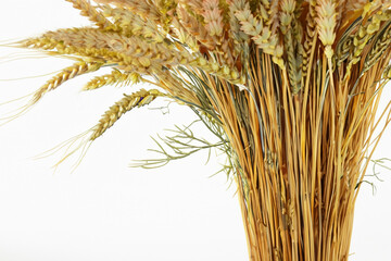 Fototapeta premium Bouquet of wheat with gray background. Bouquet wheat gray background golden vase. A golden vases of wheat on a gray background. A vase with wheat in it on lifestyle a white background.