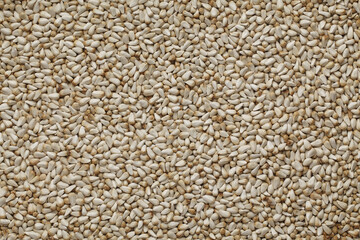 Fototapeta premium SEASAME SEEDS