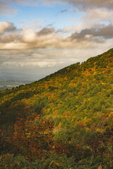 Obraz premium Hakoda mountain and Jogakura bridge view in Japan, famous travel destinations in autumn and fall season. Color of nature, season and leaf. An aerial view of maple tree, fantasy landscaped discovery.