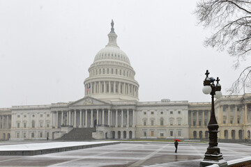 US Capitol Building in the blizzard