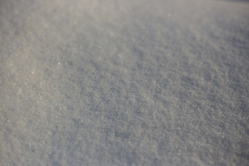 winter landscape. snow covered trees. christmas trees in the forest in winter