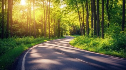 Obraz premium The smooth asphalt road winds through a dense forest of tall green trees background wallpaper AI generated image