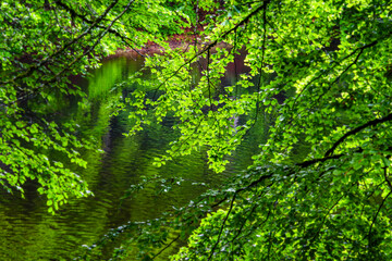 Lac du Lampy is an artificial lake located in the Aude department, in the Occitanie region, in the south of France. This lake supplies water to the Canal du Midi in a magnificent natural environment, 