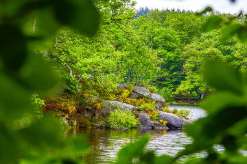 Lac du Lampy is an artificial lake located in the Aude department, in the Occitanie region, in the south of France. This lake supplies water to the Canal du Midi in a magnificent natural environment, 