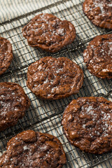 Homemade Flourless Double Chocolate Chip Cookies