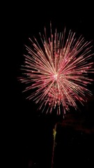 Fototapeta premium Fiery explosion of colorful fireworks against a dark night sky, colorful