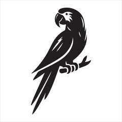 silhouette of a parrot