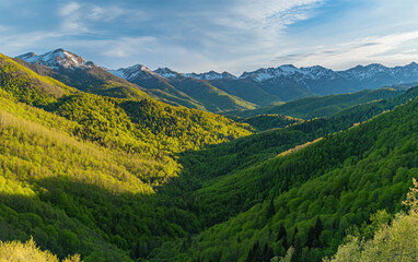 Obraz premium mountain landscape in the summer 