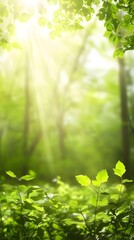 A blurred forest background with soft bokeh effect, featuring green foliage and filtered sunlight.