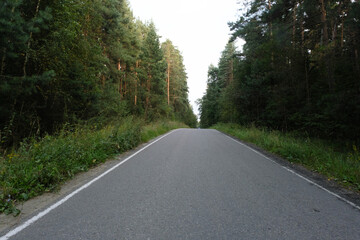 Obraz premium A tranquil empty road winding through dense greenery, flanked by tall trees on both sides, creating a serene natural atmosphere in the forest