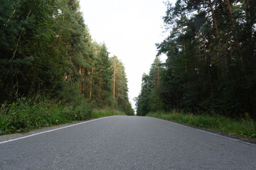 A tranquil empty road winding through dense greenery, flanked by tall trees on both sides, creating...