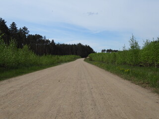 droga leśna jako miejsce rowerowych wycieczek