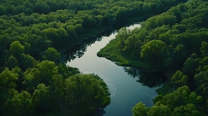 Fototapeta premium Winding river flows through lush jungle landscape at golden hour, capturing nature's beauty