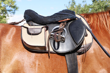 Beautiful leather riding saddle and horse blanket on horseback before a rural trail ride