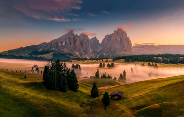 Fototapety na wymiar - Fototapeta24.pl