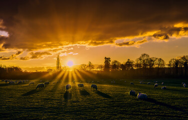 Fototapety na wymiar - Fototapeta24.pl