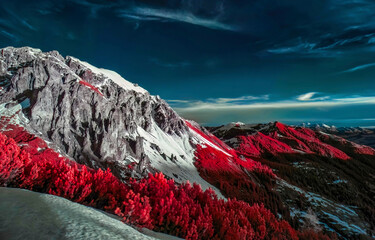 Fototapety na wymiar - Fototapeta24.pl