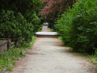 krajobraz parku miejskiego latem