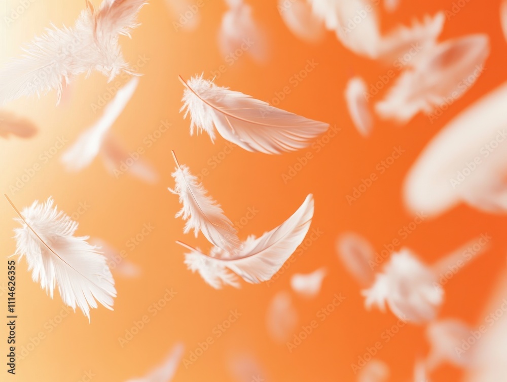 Poster feathers gently floating against a soft pastel orange background during a serene moment