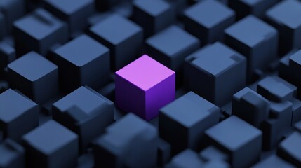 Obraz premium A single purple cube stands out amongst many dark gray cubes.