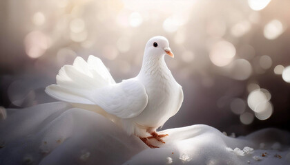 White dove bird, generative ai