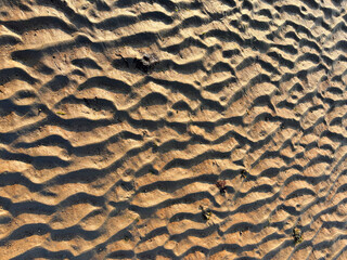 Background of Ocean floor during low tide showing ripples in the sand made by the waves