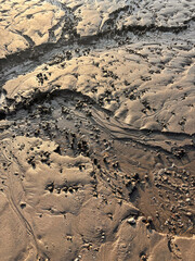 Little pipe like holes in sand near the shore made by sandpipers.