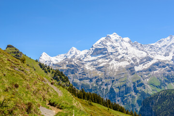 Obraz premium The Swiss Alps at Murren, Switzerland. Jungfrau Region. The valley of Lauterbrunnen from Interlaken.